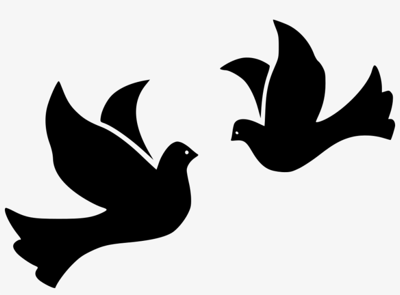 Bird Birds Dove Doves Flight Fly Flying Peace Wing 820x605 Bird Birds Dove Doves Flight Fly Flying Peace Wing