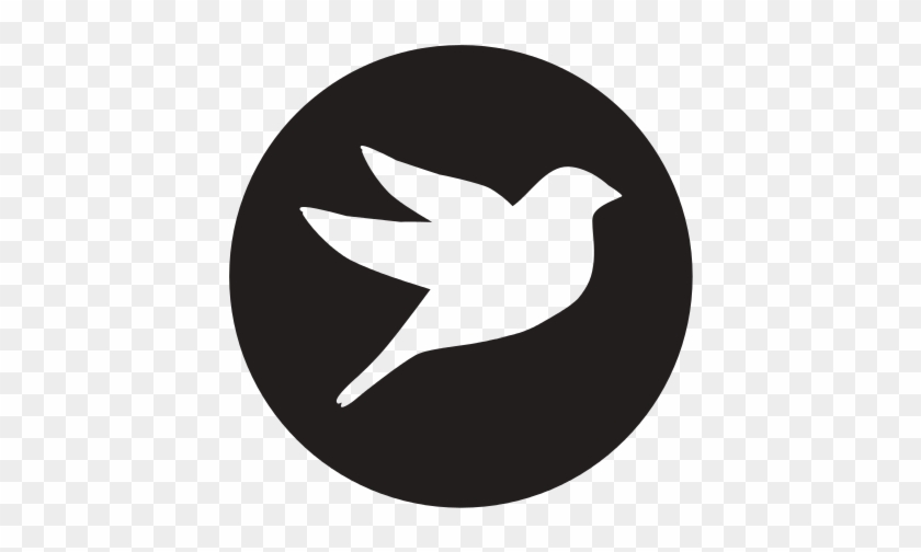 Dove Bird Silhouette Icon 840x504 Dove Bird Silhouette Icon