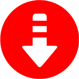 Red Arrow Down Icon 256x256 Red Arrow Down Icon