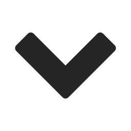 256x256 Navigate Down Icon Iconexperience