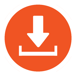 250x250 Download Icon