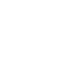 256x256 Free White Business Icon