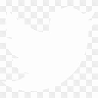 320x320 White Twitter Icon Png Images, Free Transparent Image Download