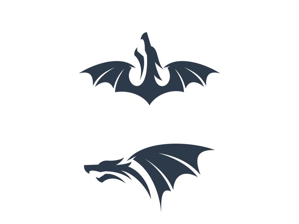 1000x750 Dragon Icon
