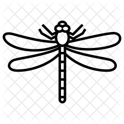 256x256 Dragonfly Icon Of Line Style