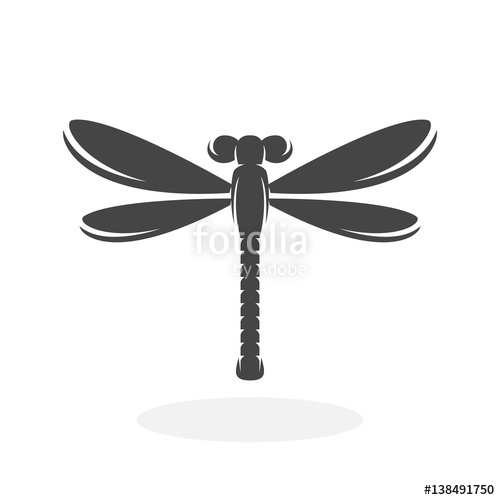 500x500 Dragonfly Icon Vector Logo On White Background Stock Image