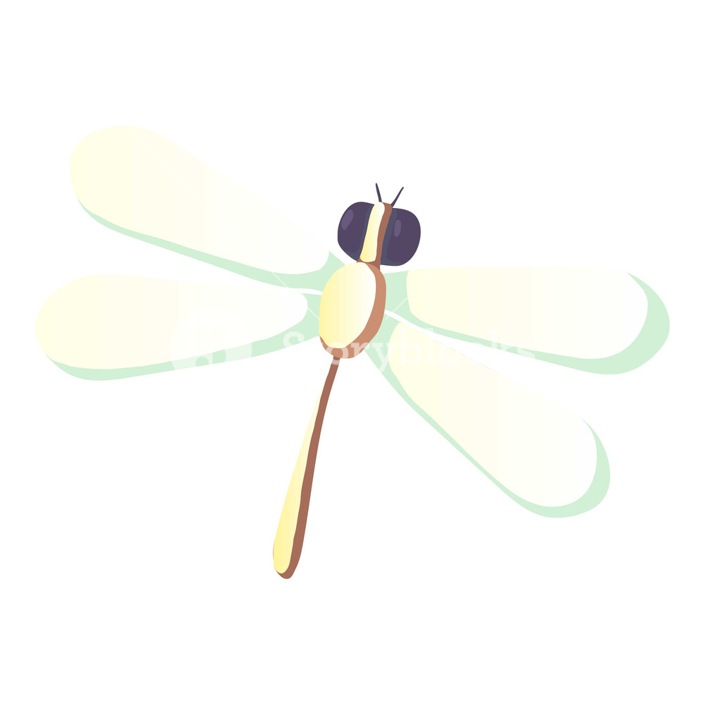 1000x1000 Dragonfly Icon Cartoon Illustration Of Dragonfly Icon For Web