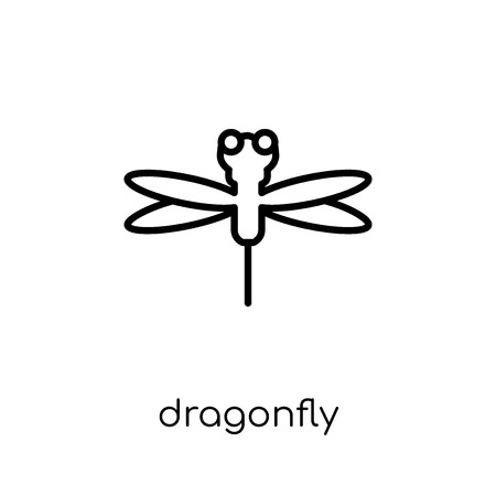 450x450 Dragonfly Icon Trendy Modern Flat Linear Vector Dragonfly Icon