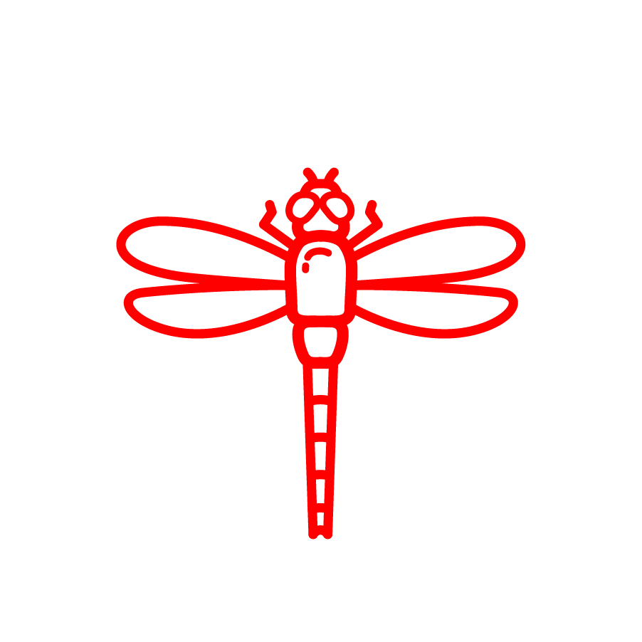 902x902 Dragonfly