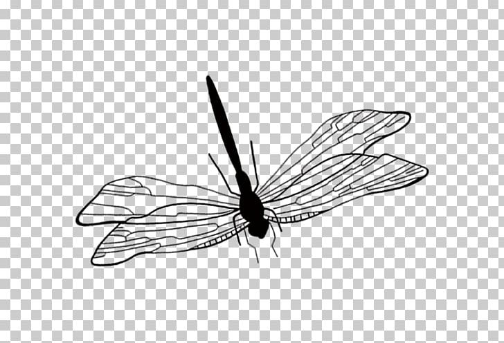 728x496 Butterfly Dragonfly Icon Png, Clipart, Arthropod, Black, Hand