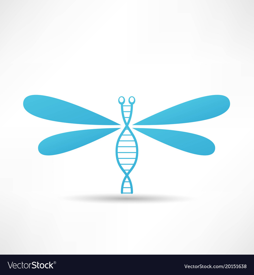 1000x1080 Dragonfly Icon