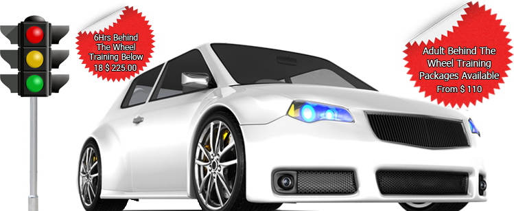 749x307 Professional Driving School California Icon Driving School