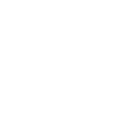 256x256 Free White Dropbox Icon