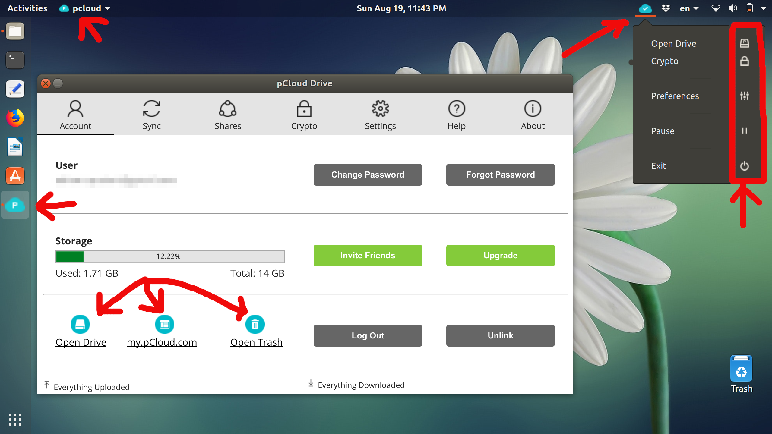 dropbox not syncing ubuntu dropbox not syncing ubuntu