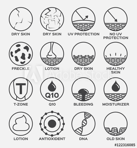 463x500 All Skn Vector Version