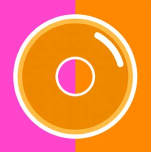 300x301 Icon Pop Brand Image