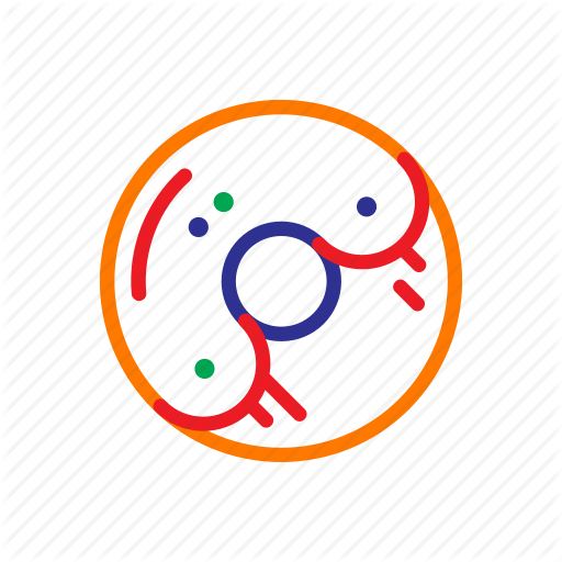 512x512 Cafe, Coffee Bar, Donut, Dunkin Donuts, Eat, Fast Food, Food Icon