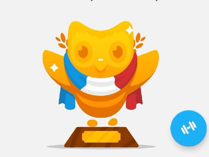 699x524 How To Use Duolingo, The Best App For Learning Another Language