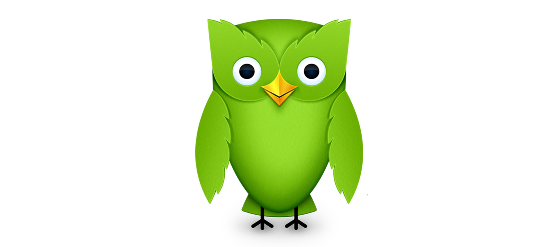 1920x850 Duolingo Icon Pompampclout