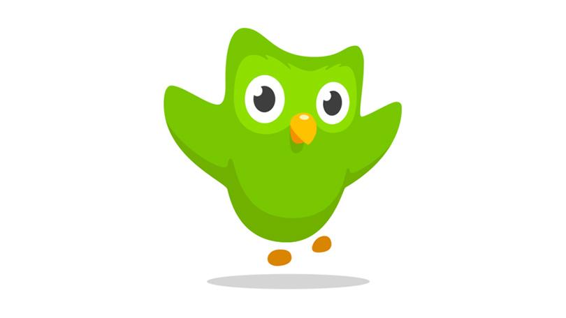 Duolingo App Icon At Vectorified.com | Collection Of Duolingo App Icon ...