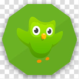 256x256 Duolingo Transparent Background Png Cliparts Free Download Hiclipart