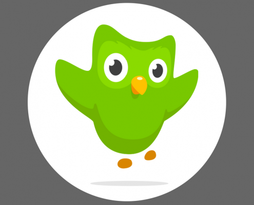 Значок Дуолинго. Дуолинго 2011. Duolingo Сова. Иконка приложения Duolingo. Зеленая сова английский