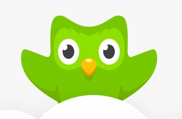 66 Duolingo icon images at Vectorified.com