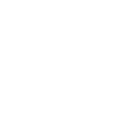 256x256 White Dvd Icon