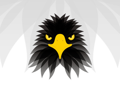 400x300 Eagle Head Logo Design Symbol