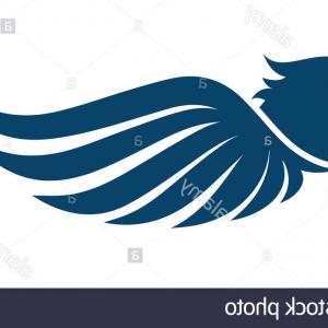 300x300 Flat Eagle Head With Wings Vector Icon Design Image Newwaysys