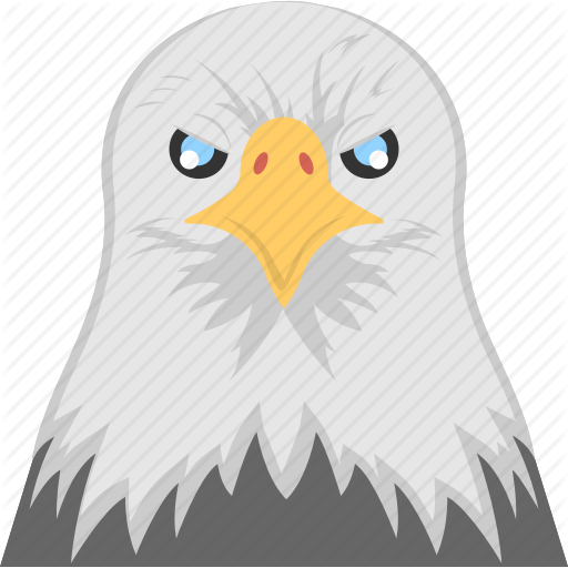 512x512 Animal, Eagle Head, Fierce Bird, Hawk Eye, White Eagle Face Icon