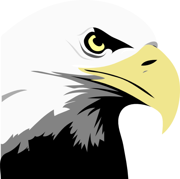 600x598 Bald Eagle Head Png, Clip Art For Web
