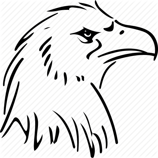 512x512 Bird, Claw, Eagle, Head, Leader, Predator, Wild Icon