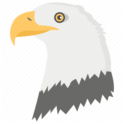 512x512 Bird Of Jovet, Eagle, Eagle Head, Falcon, Flying Bird Icon
