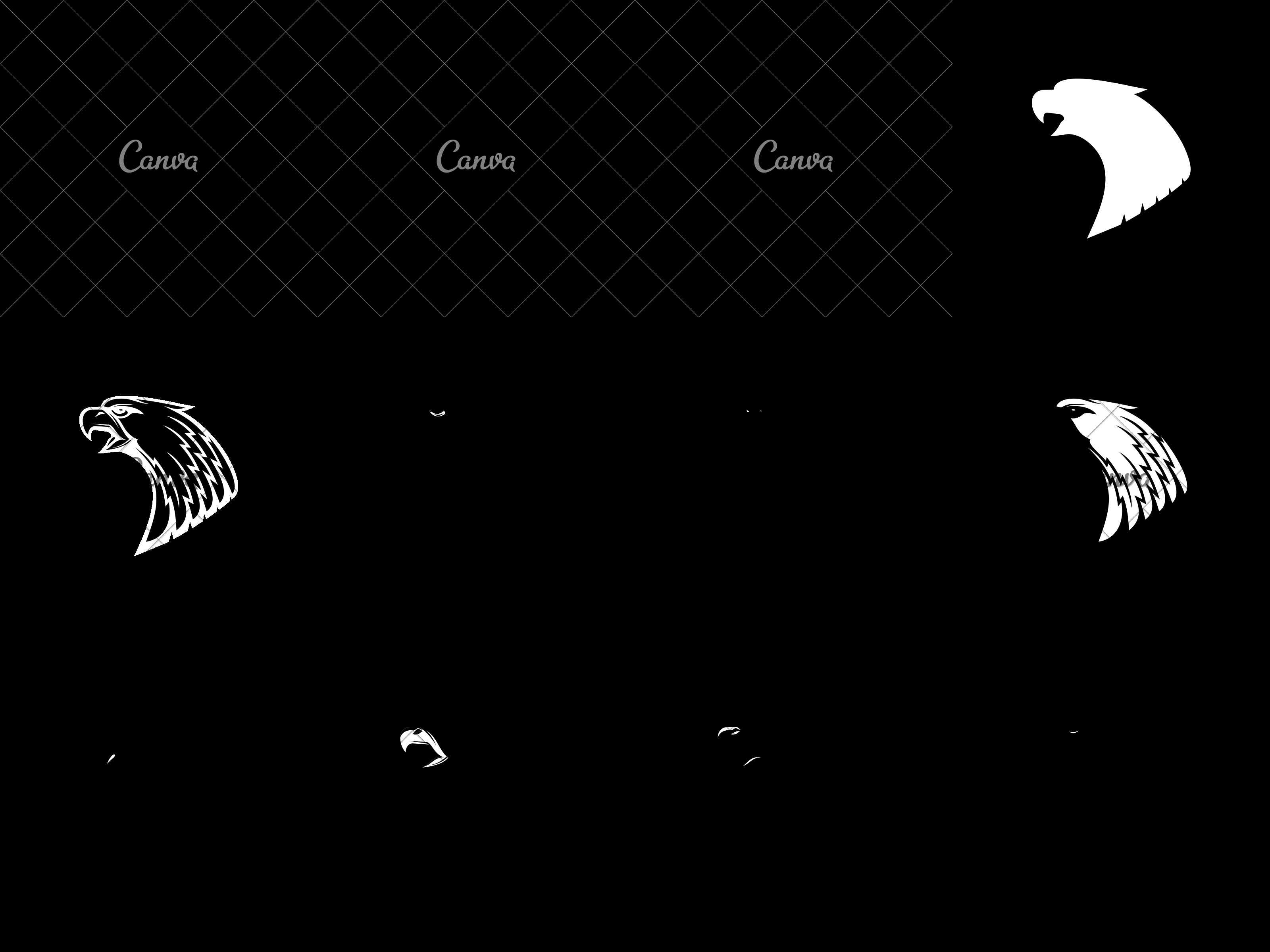 3200x2400 Eagle Head Icon