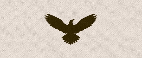 590x243 Eagle Icon Design Shack