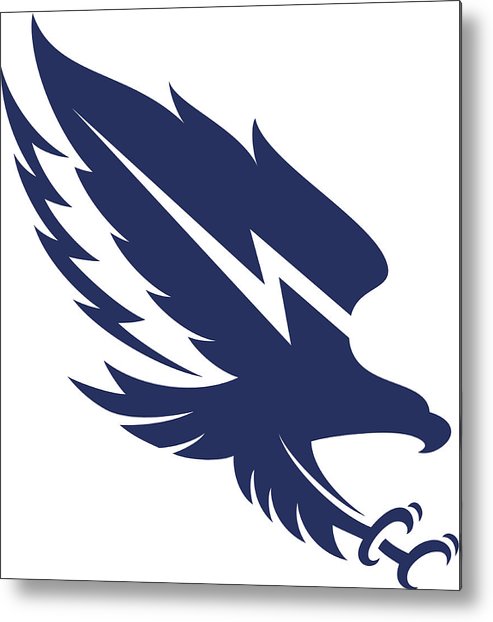 493x622 Eagle Icon Metal Print