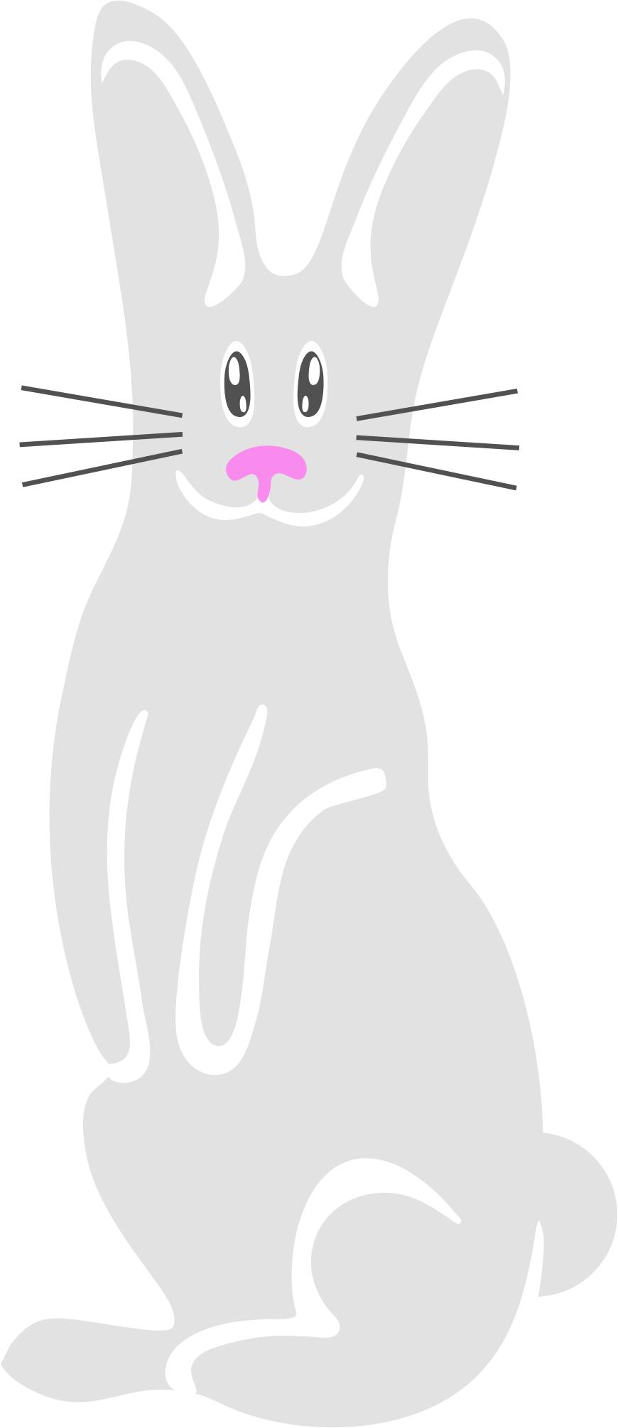 870x2010 Easter Bunny Icons Png