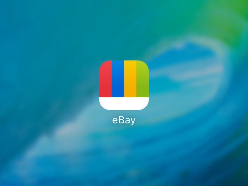 800x600 Ebay Icon