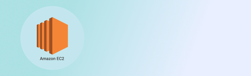 825x250 How To Backup Instances