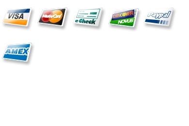 390x260 Echeck Icon Credit Card Icons Iconset Virtuallnk