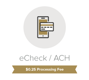 300x271 Electronic Payment Fees