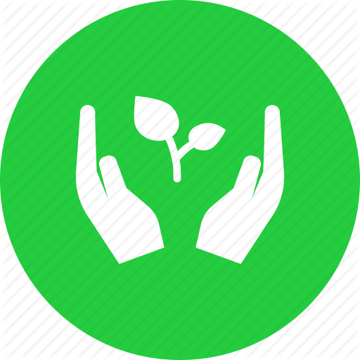Eco Friendly Icon