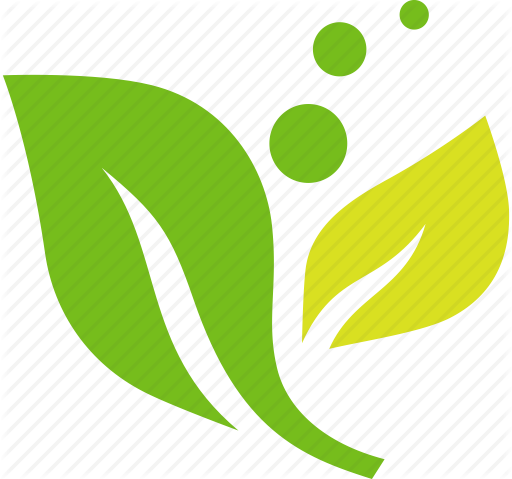 512x479 Ecology, Environmental, Green, Leaves, Plant Icon