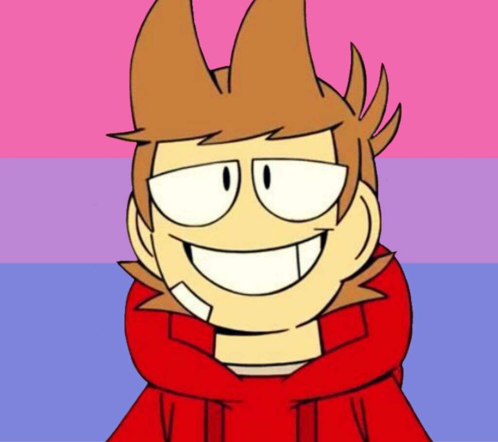 1024x910 The Same Picture Of Tord Lgbt Tord Icons Amino. 