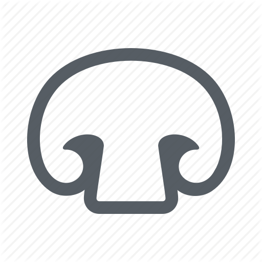 512x512 Edible, Food, Healthy, Mushroom, Organic, Vegetable Icon