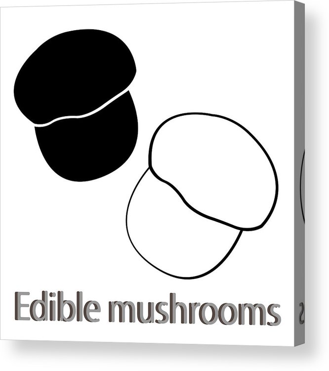666x750 Mushrooms Black Icon Edible Fungus Illustration To Culinary