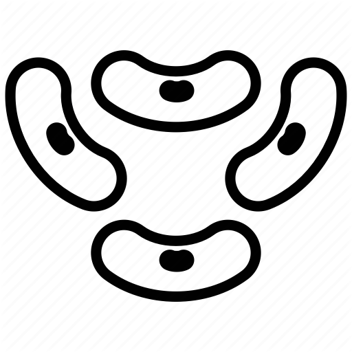 512x512 Beans, Edible, Food, Kernel, Seeds Icon