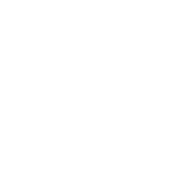 256x256 White Edit Icon