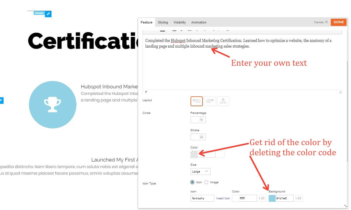 1179x706 How To Edit Skins And Layouts In Themify